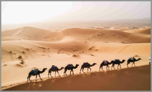 4 day Tour from Chefchaouen to Merzouga and Marrakech