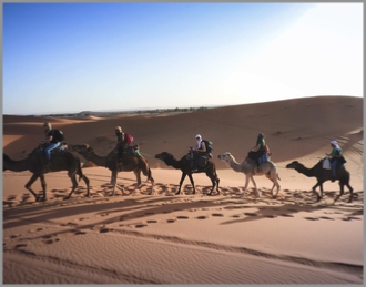 tour from Marrakech