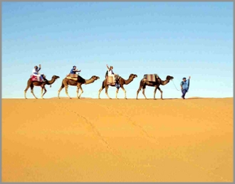 tour from Marrakech