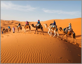 Camel Trek and 2 nights in desert camp