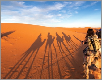 Best Morocco Private Tours - Local Morocco Guide,private Marrakech tours to Sahara