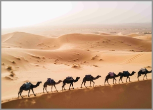 4 day Tour from Chefchaouen to Merzouga and Marrakech