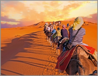 Camel Trek and 1 night in desert camp
