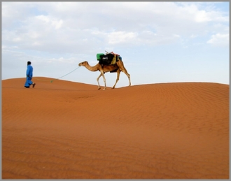 Tours from Agadir