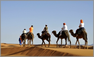 Best Morocco Private Tours - Local Morocco Guide,private Marrakech tours to Sahara