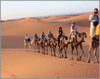 Best Tours in Morocco