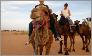 Luxury Tours Morocco